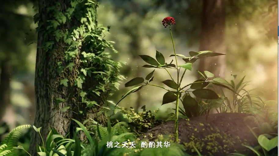 化妆.png